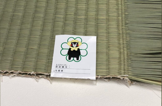 熊本産畳表 - コピー